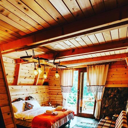 Purkinora  Villa Çamlıhemşin Dış mekan fotoğraf
