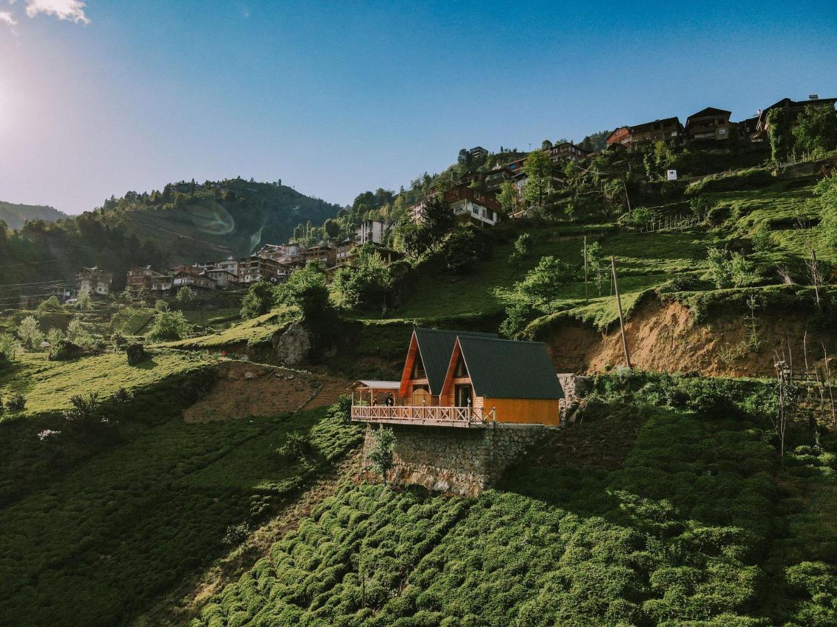 Purkinora  Villa Çamlıhemşin Dış mekan fotoğraf