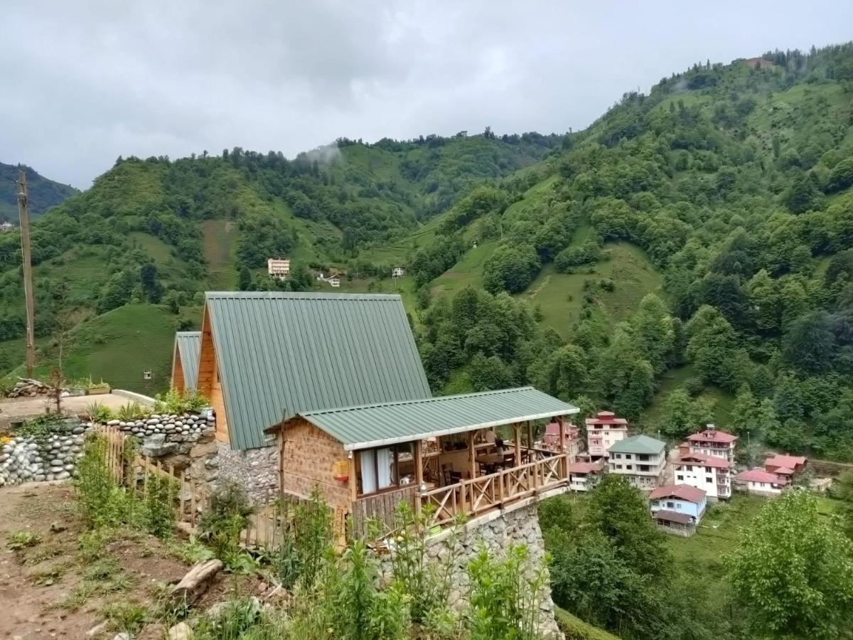 Purkinora  Villa Çamlıhemşin Dış mekan fotoğraf