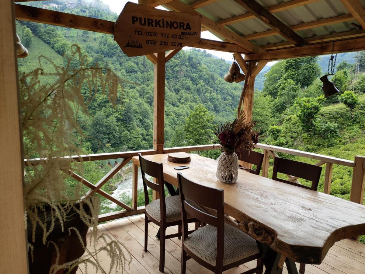 Purkinora  Villa Çamlıhemşin Dış mekan fotoğraf