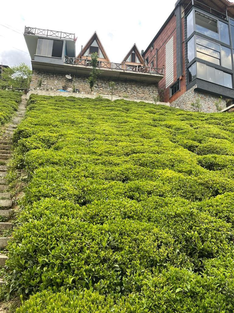 Purkinora  Villa Çamlıhemşin Dış mekan fotoğraf