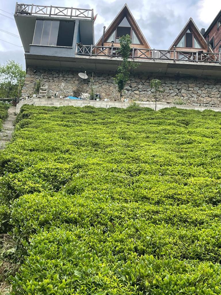 Purkinora  Villa Çamlıhemşin Dış mekan fotoğraf